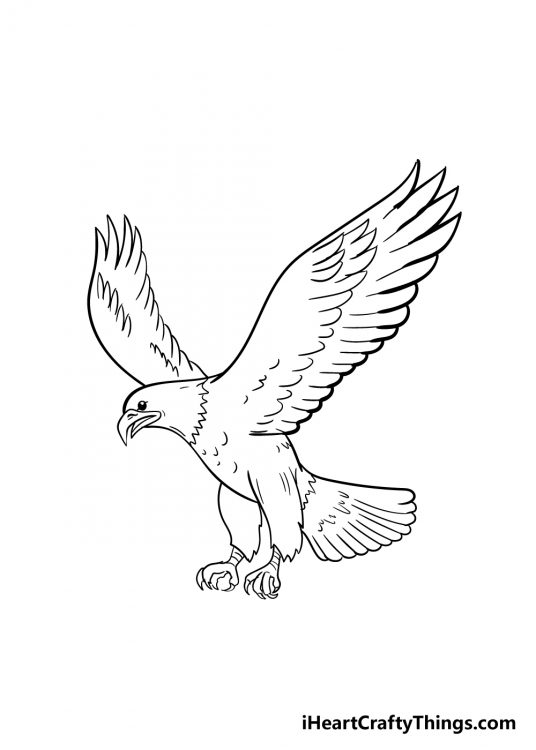 Eagle Drawing - How To Draw An Eagle Step By Step!