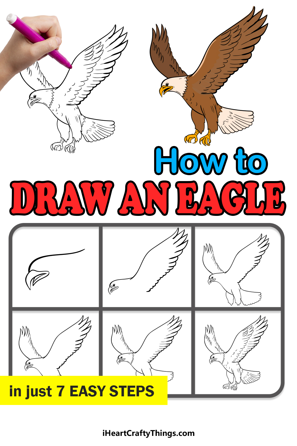 how to draw an eagle in 7 easy steps