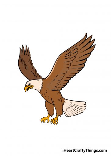 how to draw an eagle image