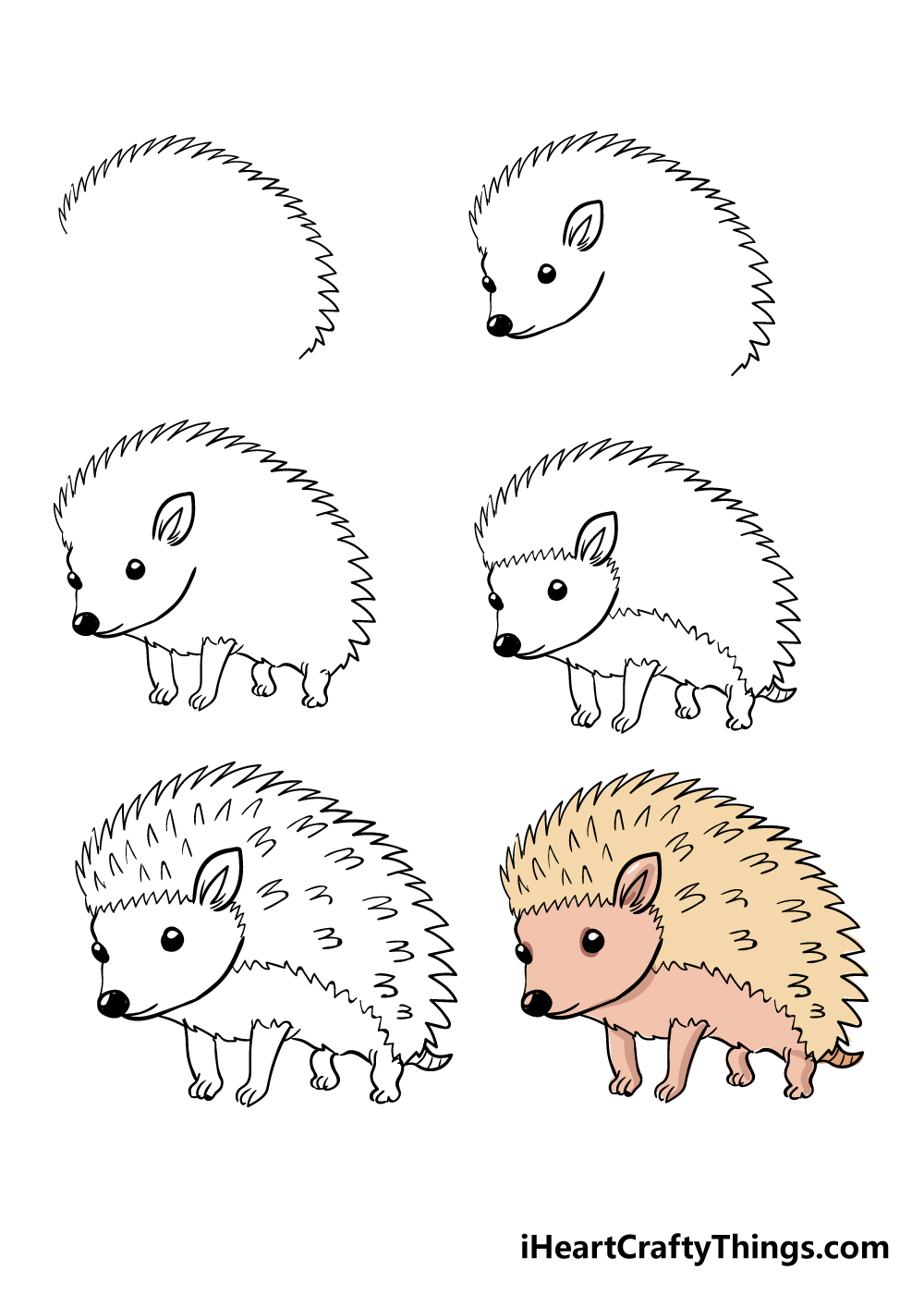 how to draw hedgehog in 6 steps