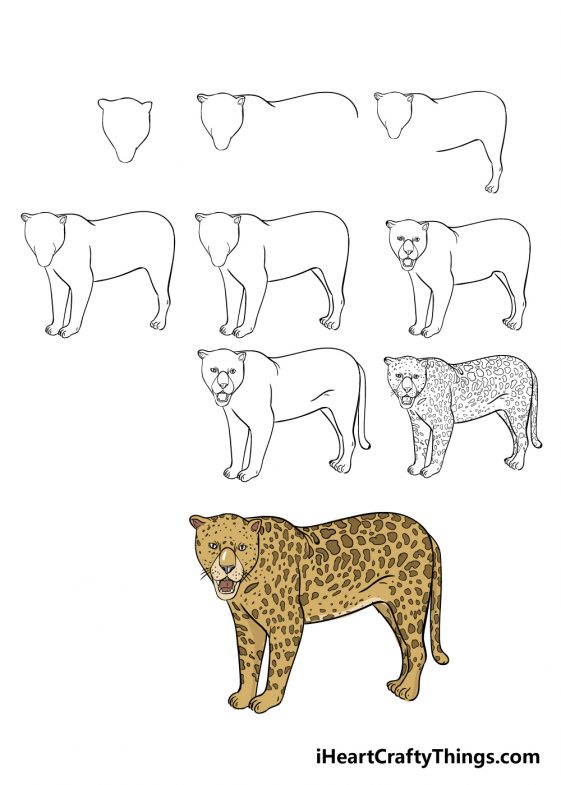 Jaguar Drawing - How To Draw A Jaguar Step By Step