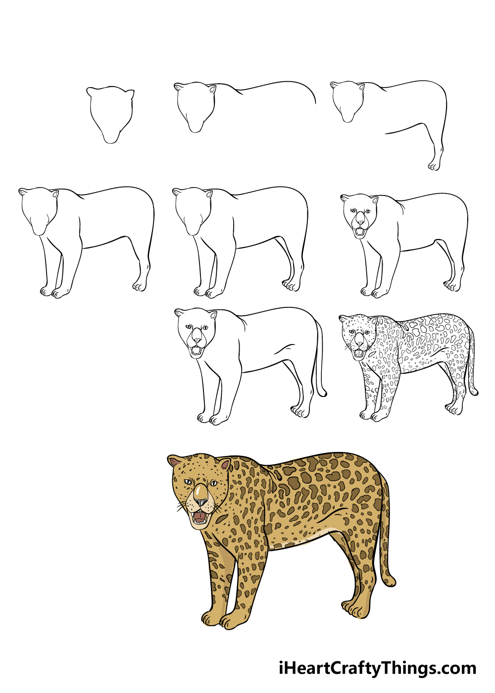 Vẽ con vật 240 Vẽ con báo đốm Mỹ  How to draw a jaguar  YouTube