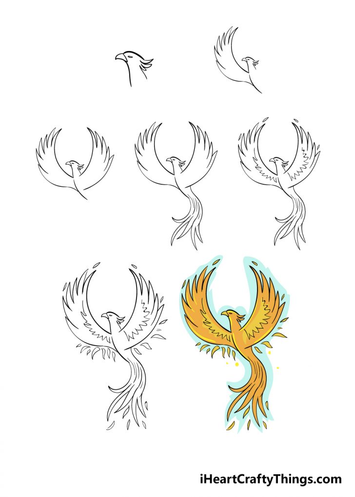 Phoenix Drawing How To Draw A Phoenix Step By Step