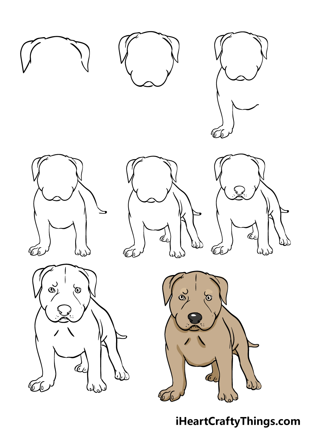 Pitbull Drawing - How To Draw A Pitbull Step By Step