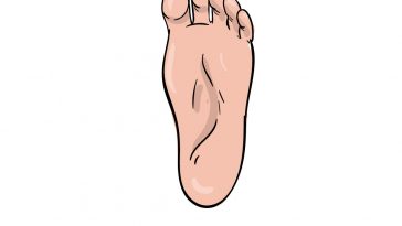 how to draw foot image