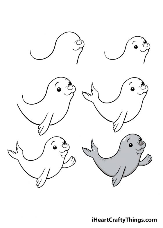 Seal Drawing How To Draw A Seal Step By Step