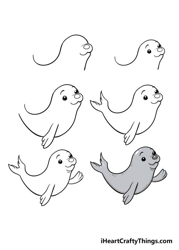 Seal Drawing How To Draw A Seal Step By Step Innovation Lighthouse