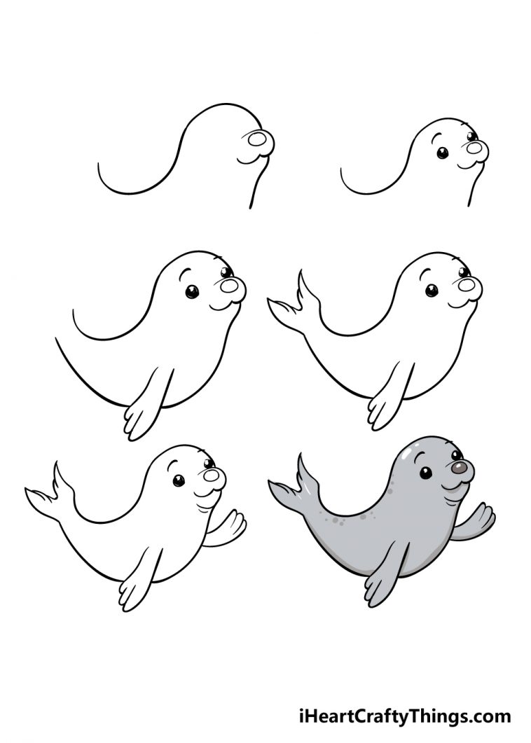 Seal Drawing - How To Draw A Seal Step By Step