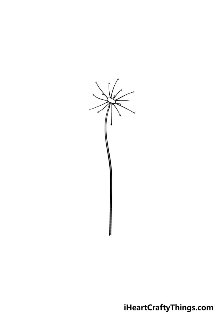 Dandelion Drawing - How To Draw A Dandelion Step By Step