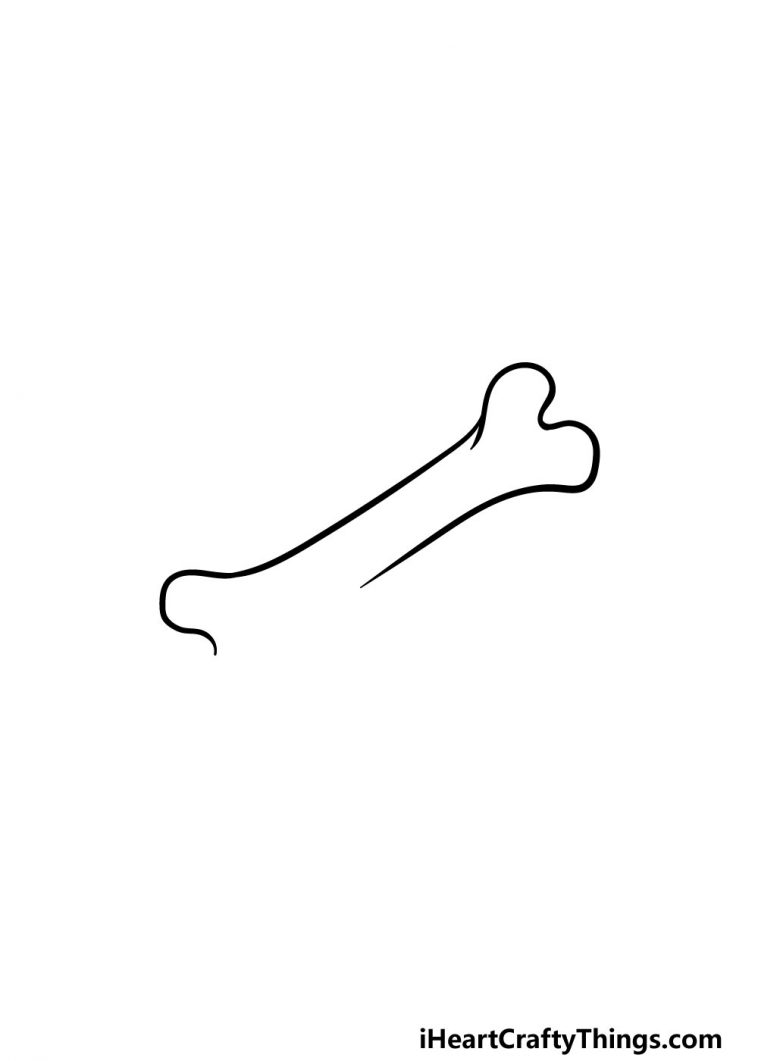Bone Drawing How To Draw A Bone Step By Step