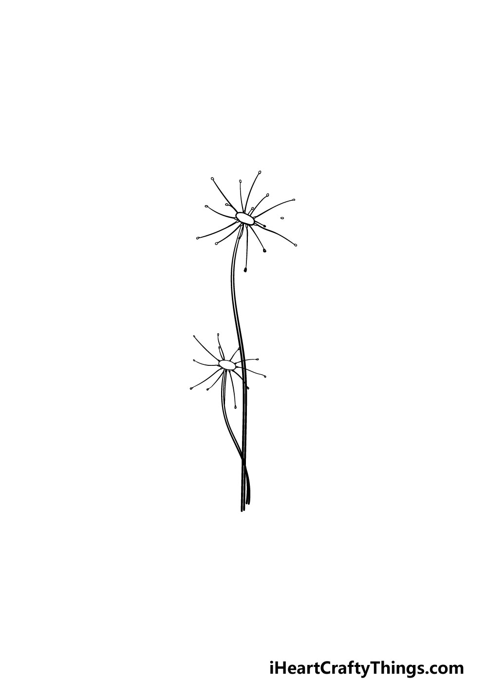 drawing a dandelion step 2