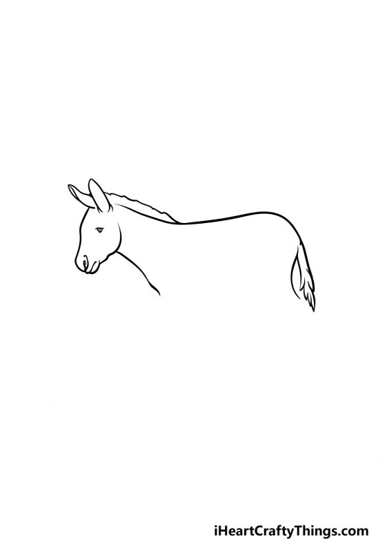 Donkey Drawing - How To Draw A Donkey Step By Step