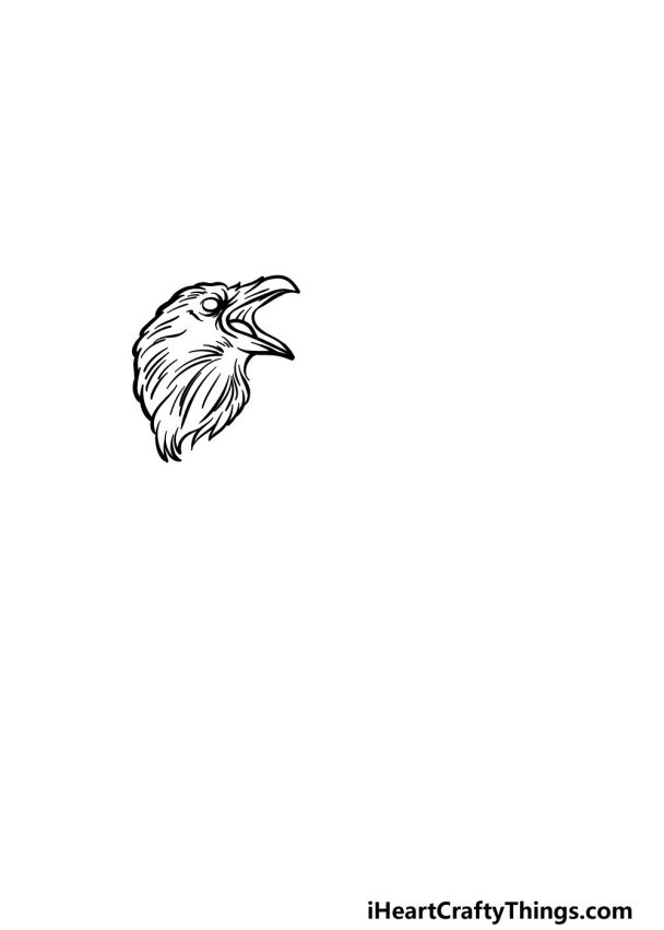 Raven Drawing - How To Draw A Raven Step By Step