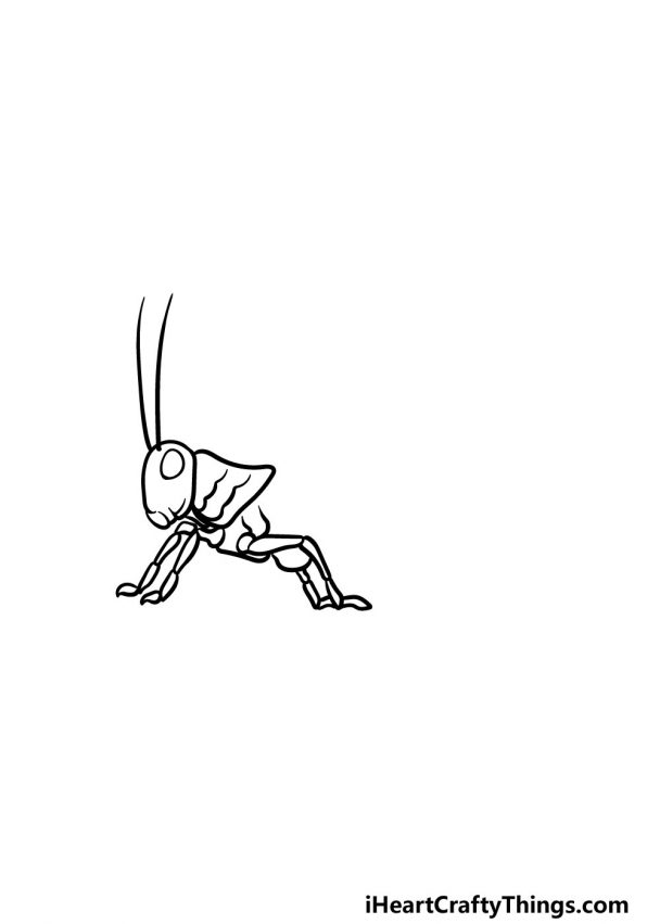 Grasshopper Drawing - How To Draw A Grasshopper Step By Step