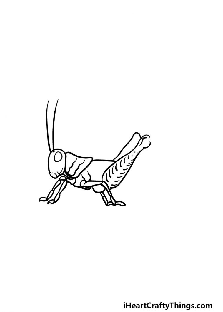 Grasshopper Drawing - How To Draw A Grasshopper Step By Step