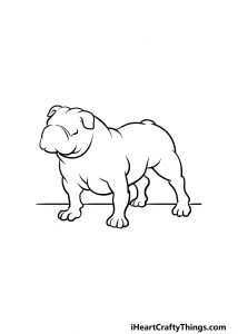 Bulldog Drawing - How To Draw A Bulldog Step By Step