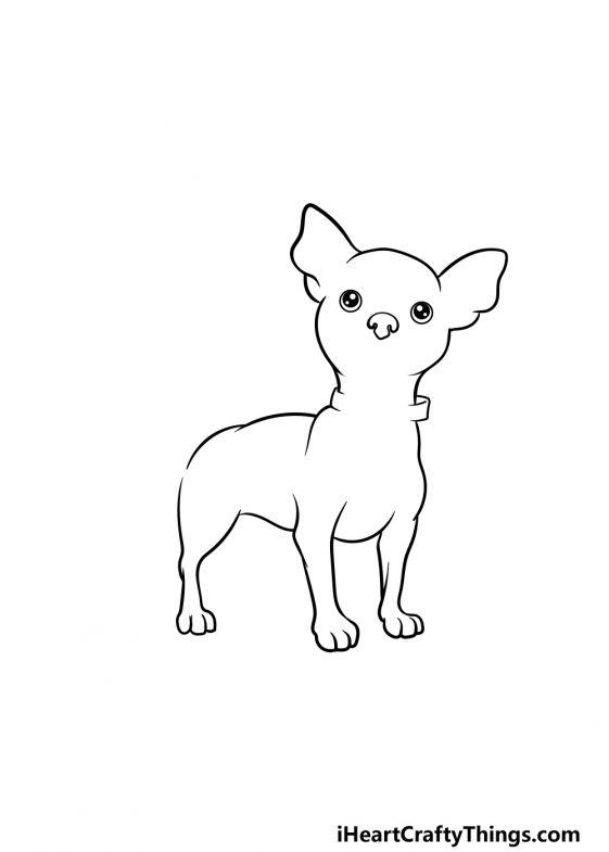 Chihuahua Drawing - How To Draw A Chihuahua Step By Step