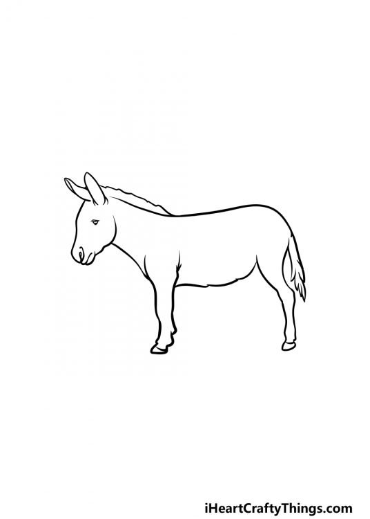 Donkey Drawing - How To Draw A Donkey Step By Step