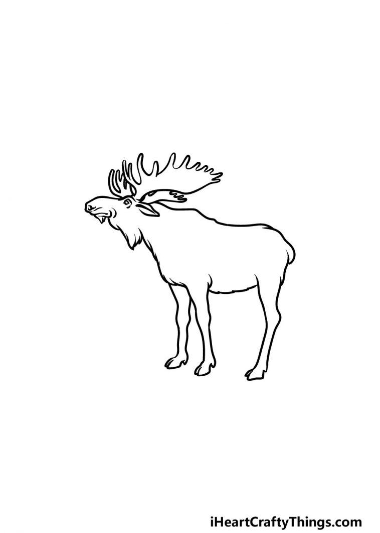 Moose Drawing - How To Draw A Moose Step By Step