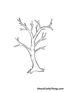 Branches Drawing - How To Draw Branches Step By Step