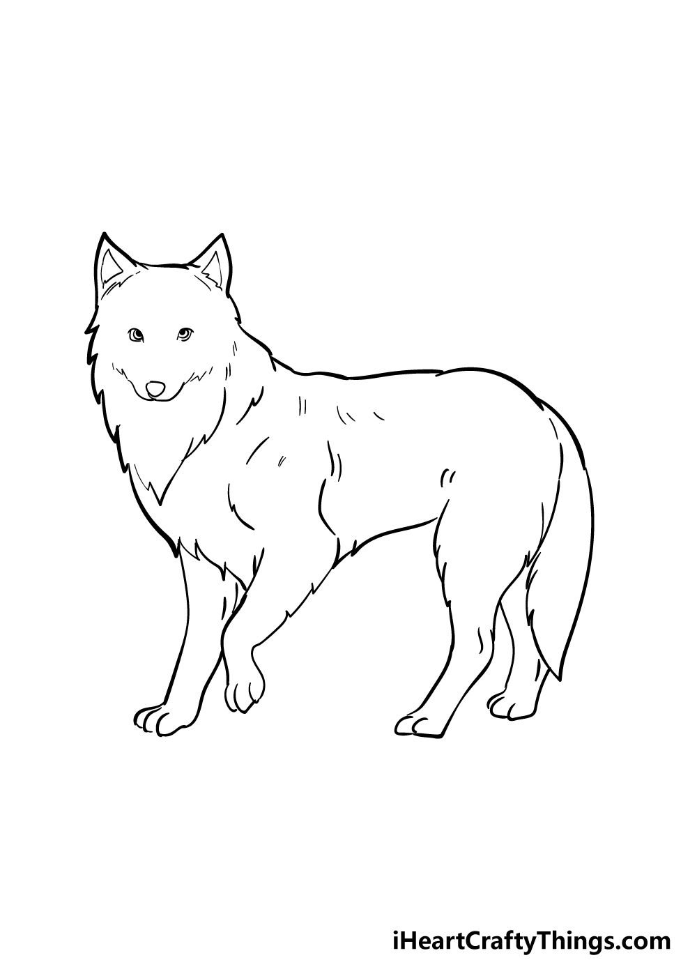 arctic fox drawing step 5