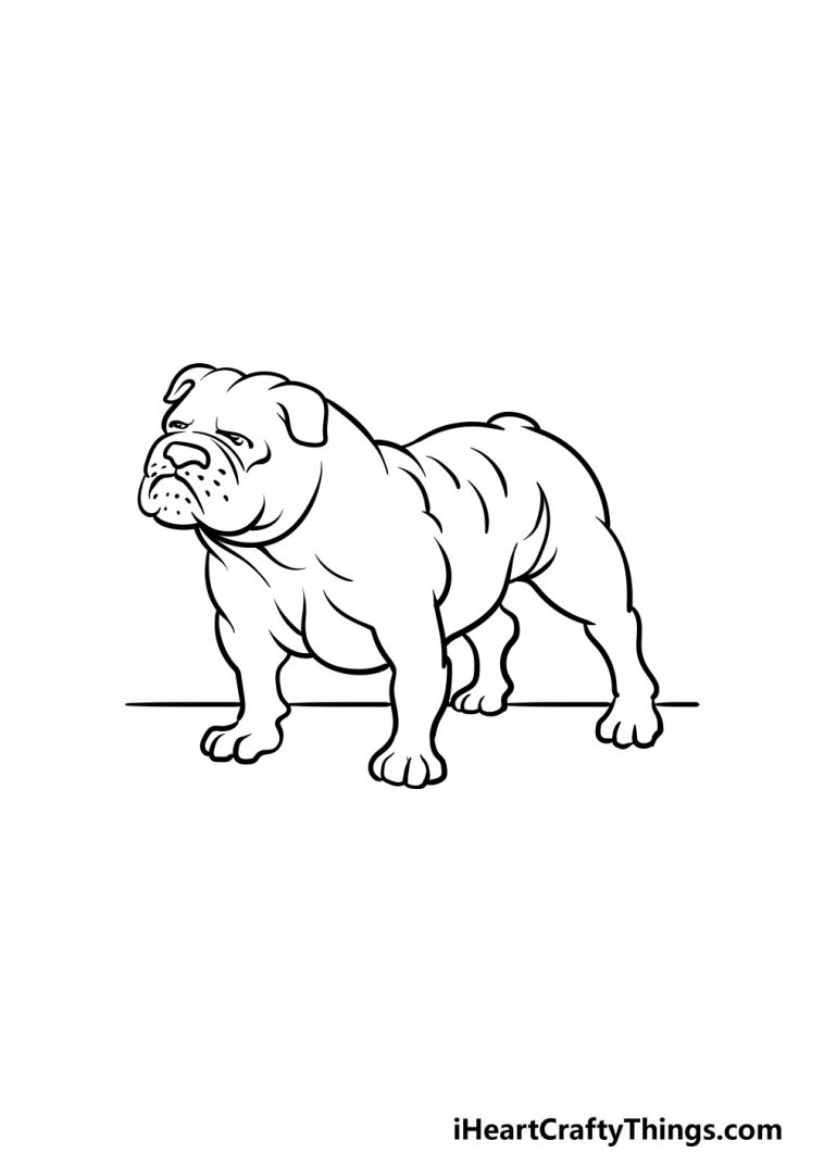 Bulldog Drawing - How To Draw A Bulldog Step By Step