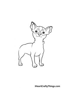 Chihuahua Drawing - How To Draw A Chihuahua Step By Step