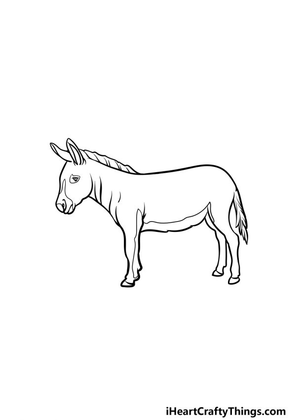 Donkey Drawing - How To Draw A Donkey Step By Step