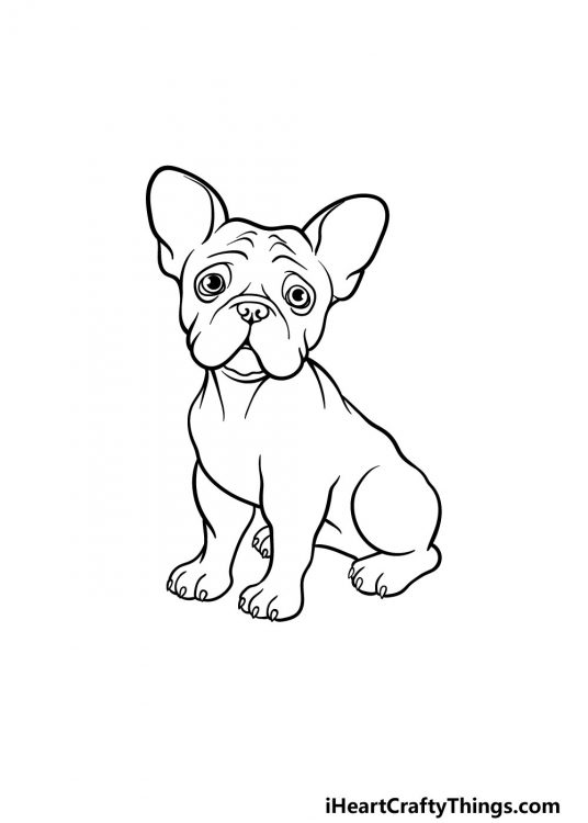 French Bulldog Drawing - How To Draw A French Bulldog Step By Step