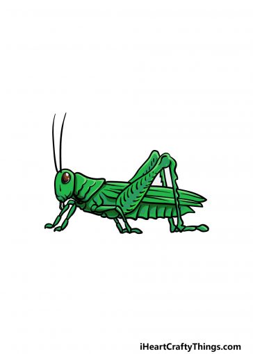 Grasshopper Drawing - How To Draw A Grasshopper Step By Step