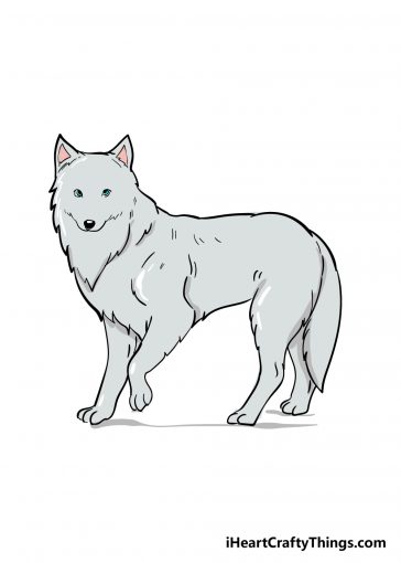 Arctic Fox Drawing - How To Draw An Arctic Fox Step By Step