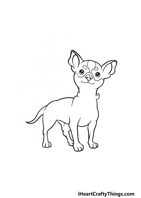 Chihuahua Drawing - How To Draw A Chihuahua Step By Step