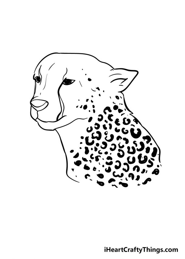 Cheetah Print Drawing - How To Draw Cheetah Print Step By Step