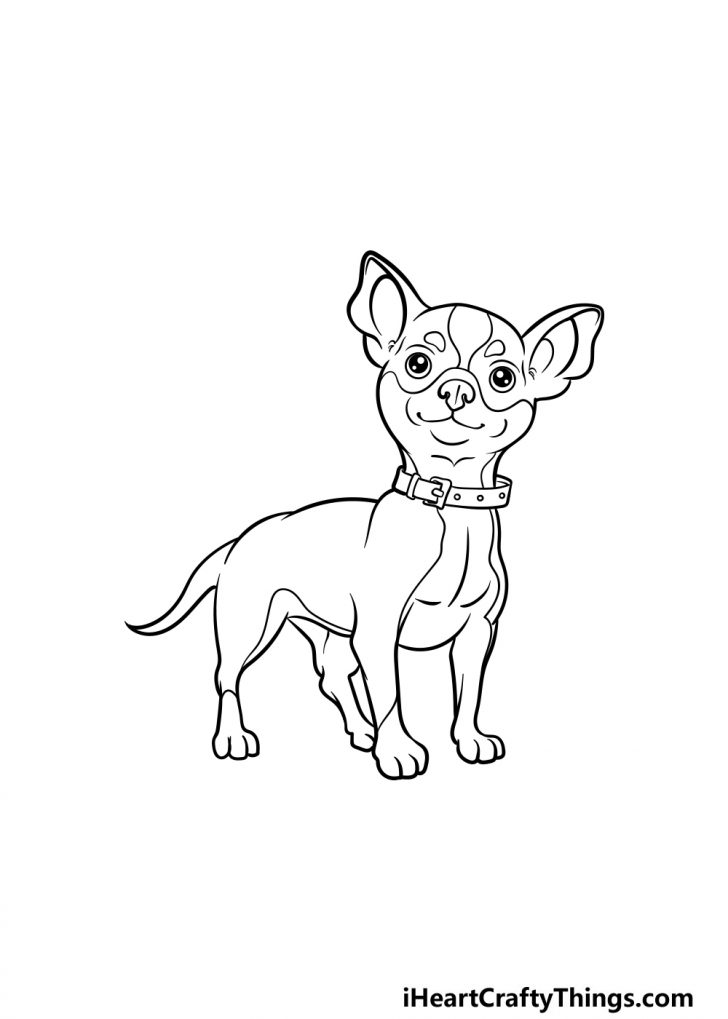 Chihuahua Drawing How To Draw A Chihuahua Step By Step