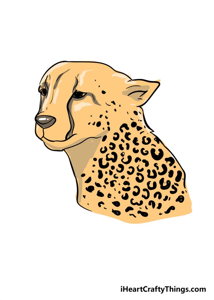 Cheetah Print Drawing - How To Draw Cheetah Print Step By Step