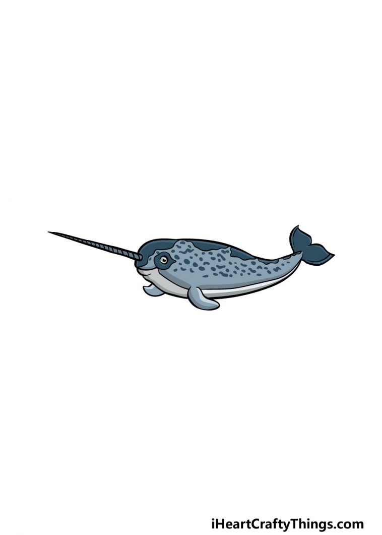 Narwhal Drawing How To Draw A Narwhal Step By Step