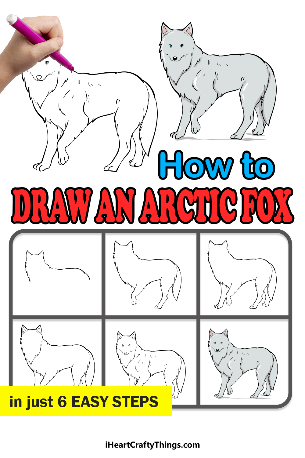 how to draw an arctic fox in 6 easy steps