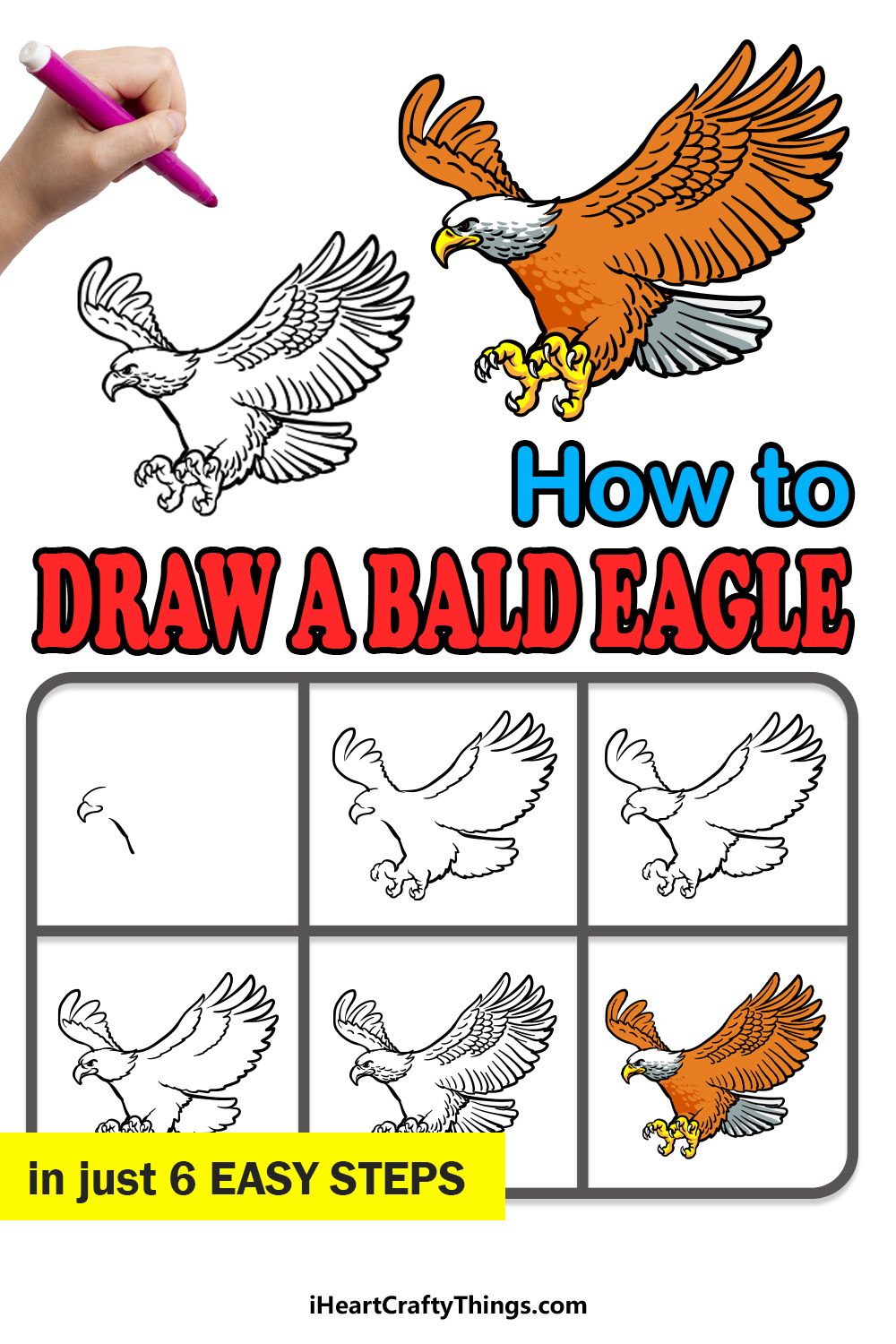 Bald Eagle Drawing How To Draw A Bald Eagle Step By Step