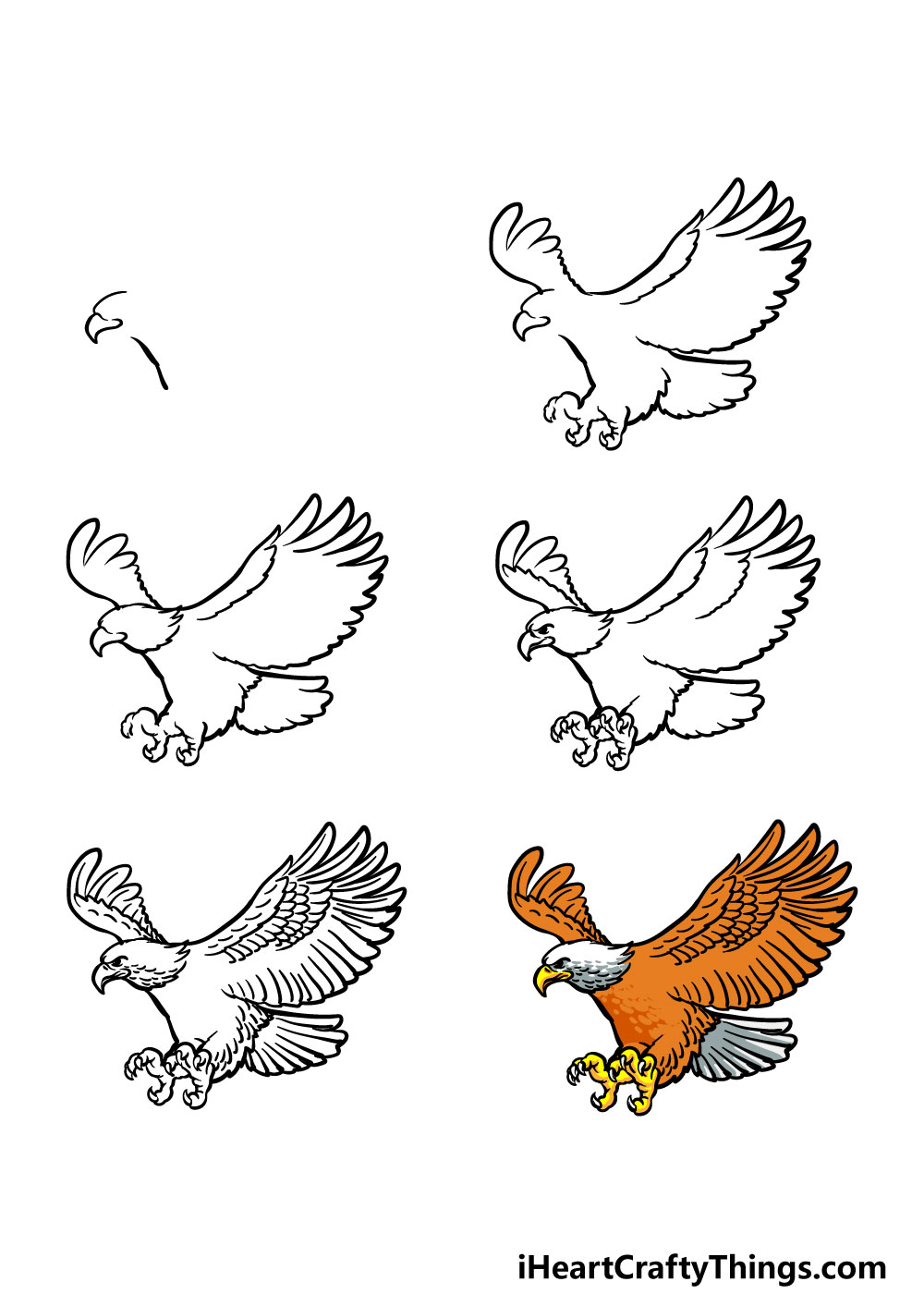 how to draw a bald eagle in 6 steps