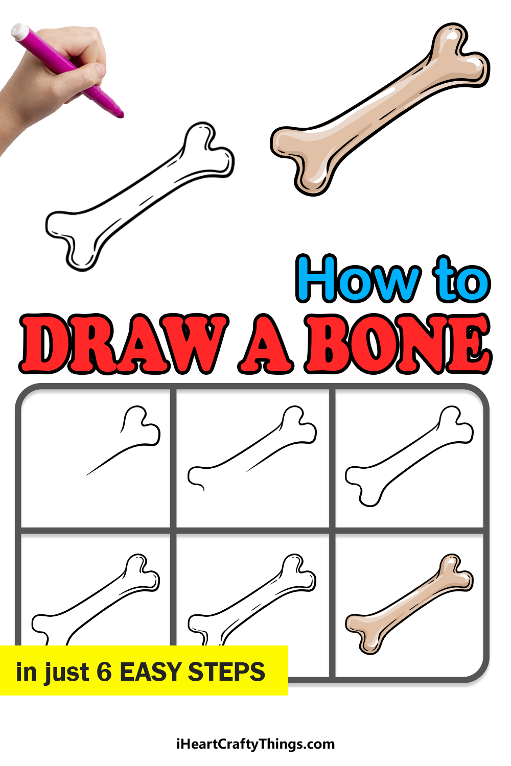 how to draw a bone in 6 easy steps
