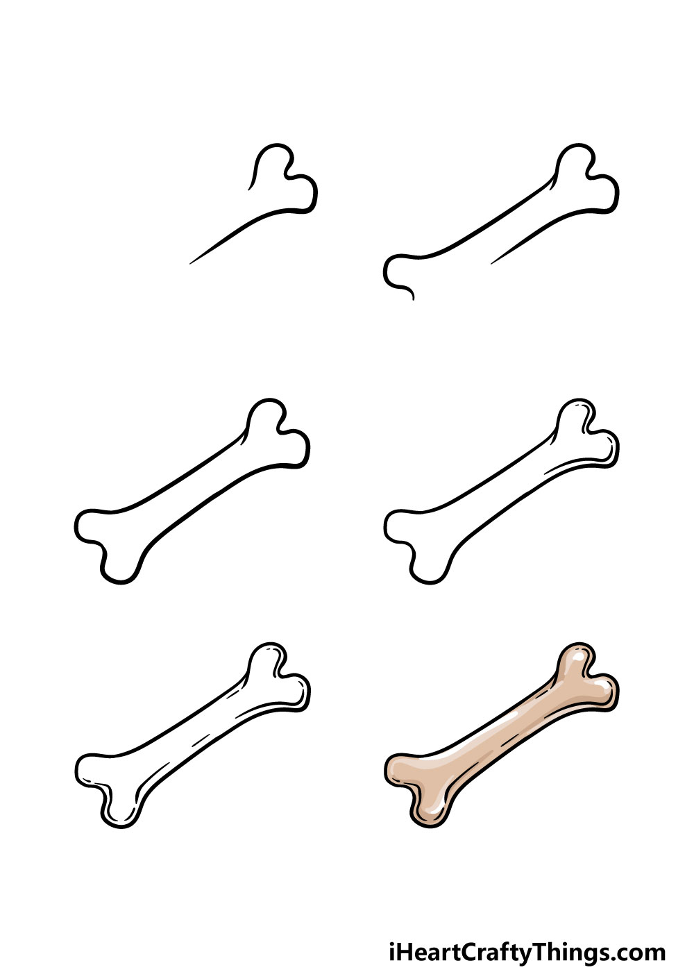 how to draw bones in 6 steps