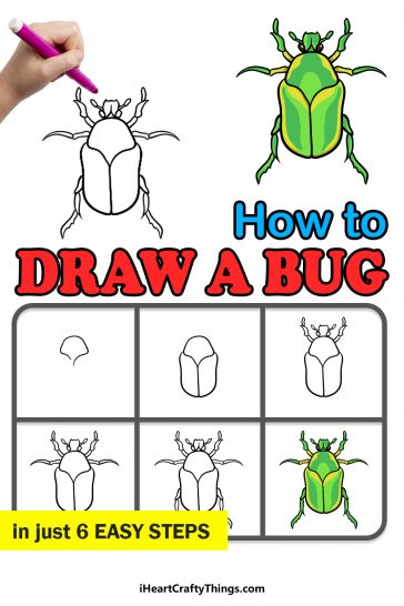 Bug Drawing - How To Draw A Bug Step By Step