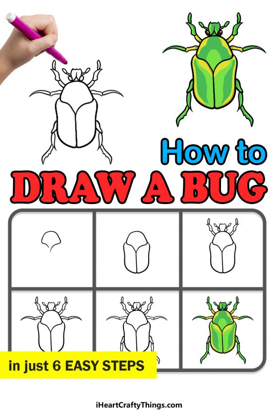 Bug Drawing - How To Draw A Bug Step By Step