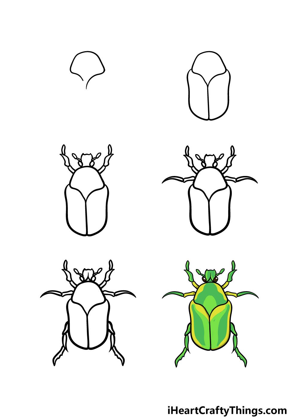 how to draw a bug in 6 steps