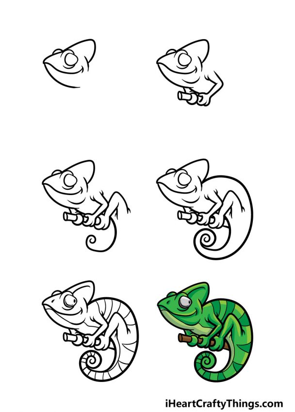 Chameleon Drawing - How To Draw A Chameleon Step By Step