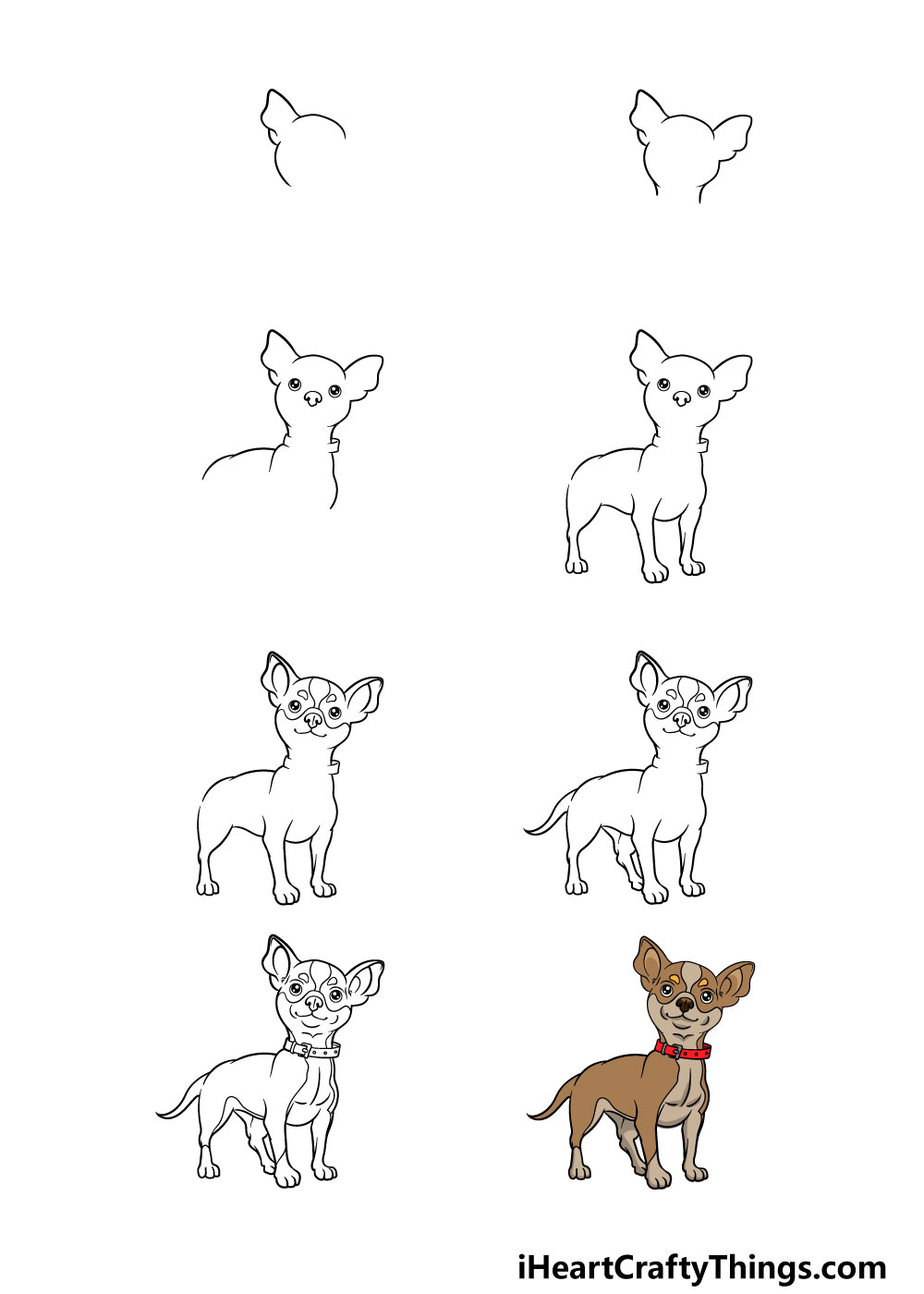 how to draw a chihuahua in 8 steps
