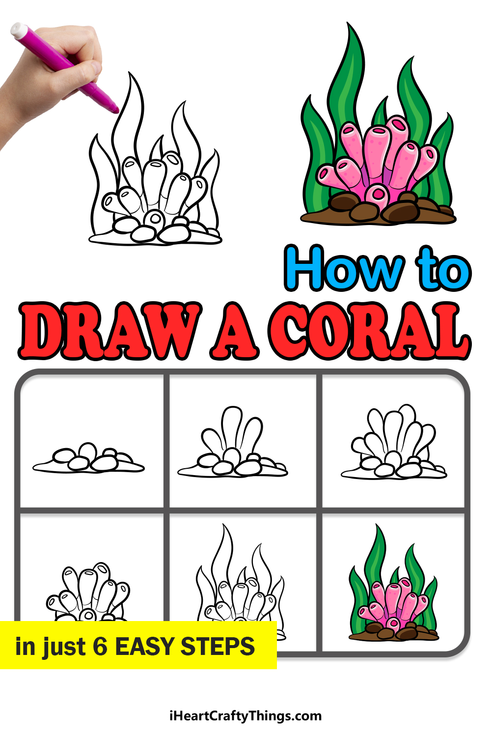 How to Draw Coral A Step by Step Guide Shill Art