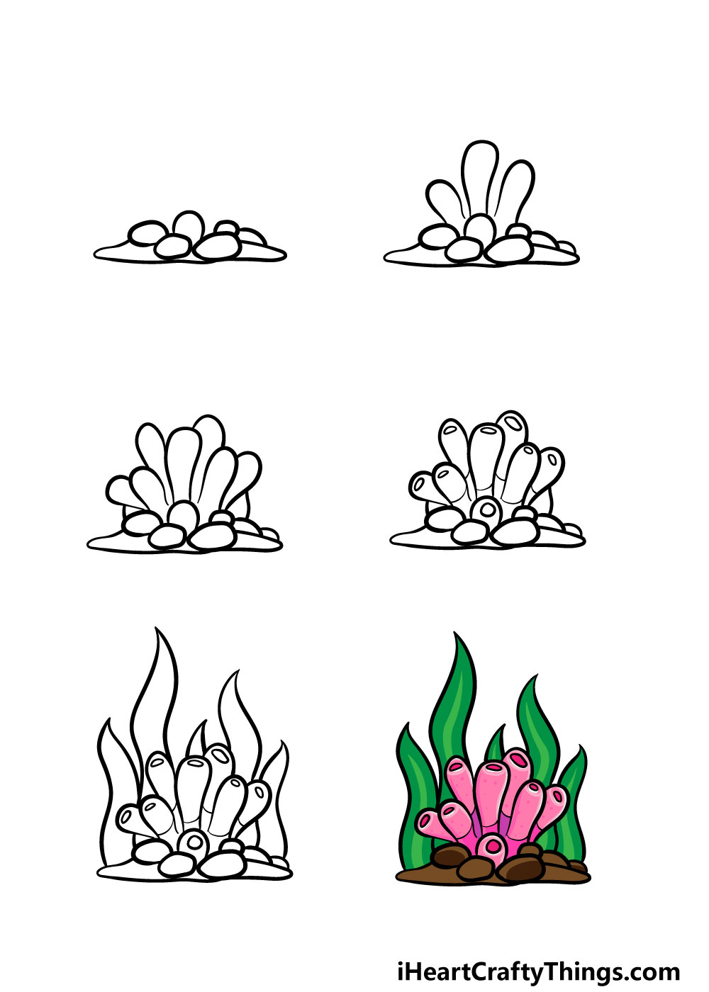 how to draw a coral in 6 steps