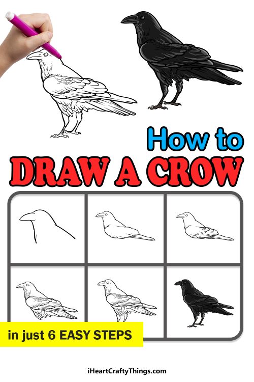 Crow Drawing - How To Draw A Crow Step By Step