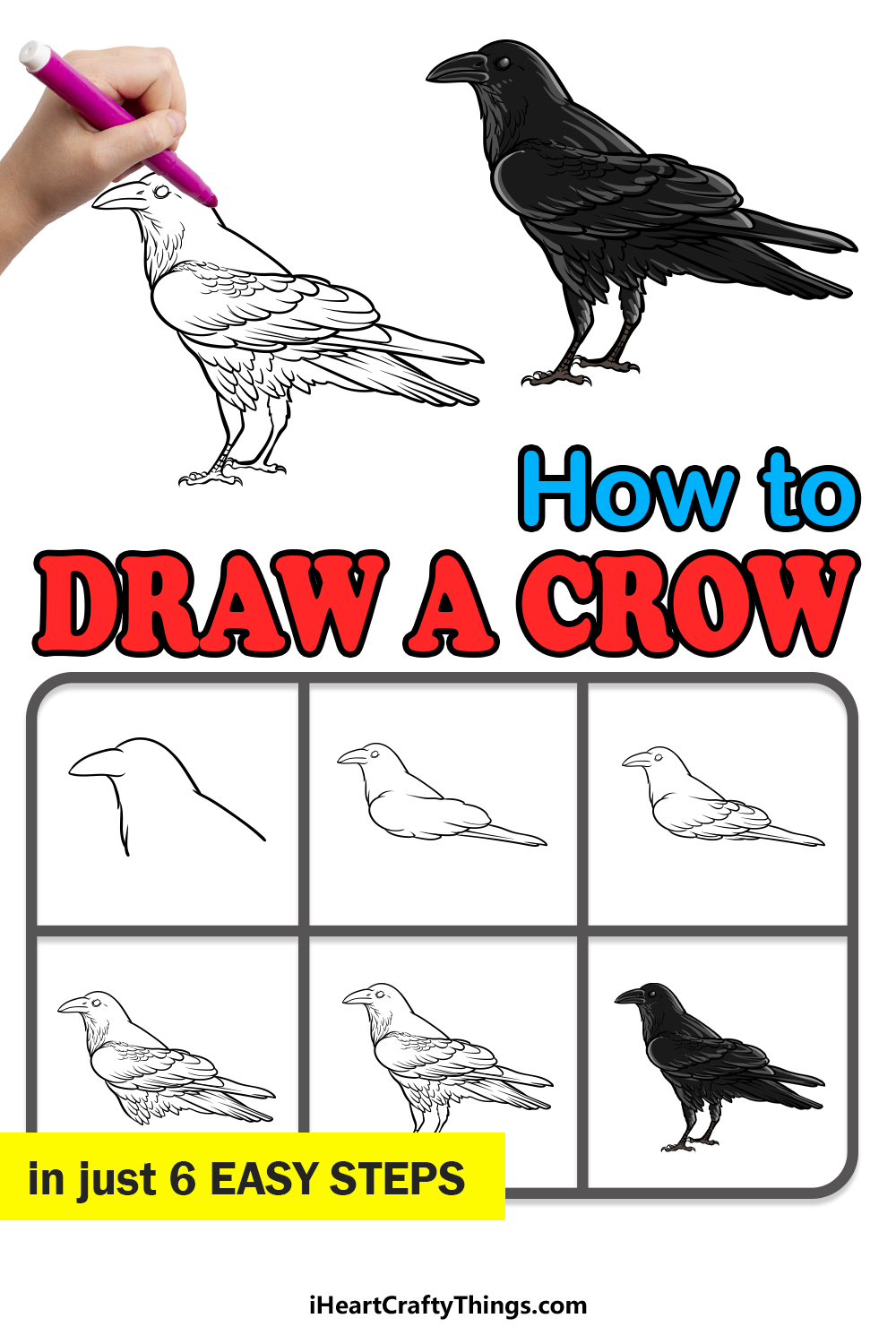 how to draw a crow in 6 easy steps